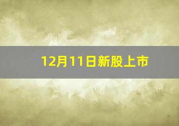 12月11日新股上市