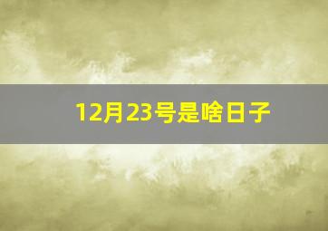 12月23号是啥日子