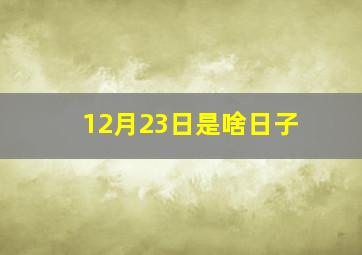 12月23日是啥日子