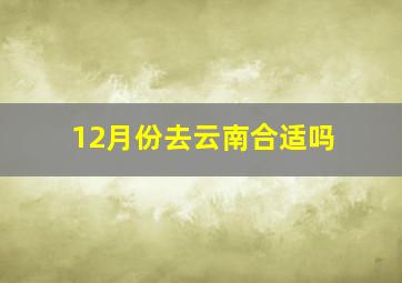 12月份去云南合适吗