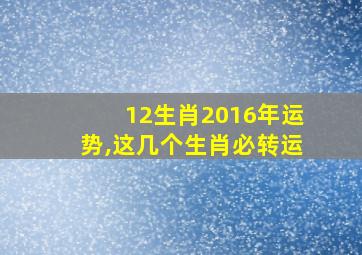 12生肖2016年运势,这几个生肖必转运