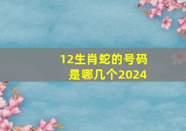 12生肖蛇的号码是哪几个2024