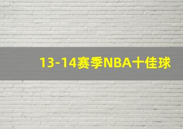 13-14赛季NBA十佳球