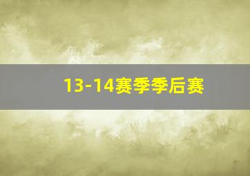 13-14赛季季后赛