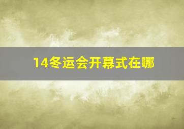 14冬运会开幕式在哪