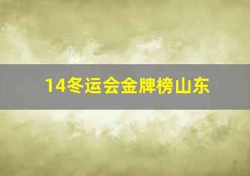 14冬运会金牌榜山东