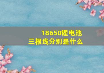 18650锂电池三根线分别是什么