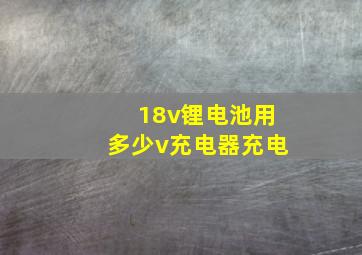 18v锂电池用多少v充电器充电