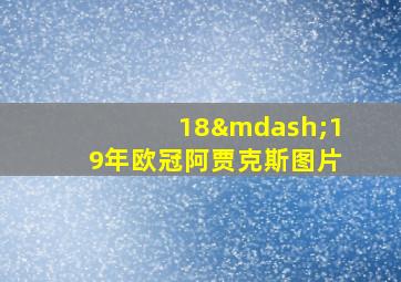 18—19年欧冠阿贾克斯图片