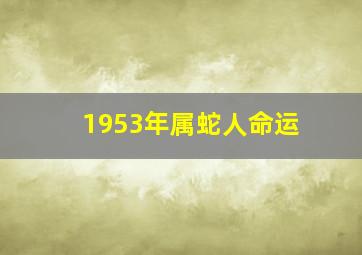 1953年属蛇人命运