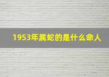 1953年属蛇的是什么命人