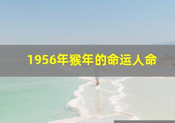 1956年猴年的命运人命