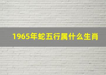 1965年蛇五行属什么生肖