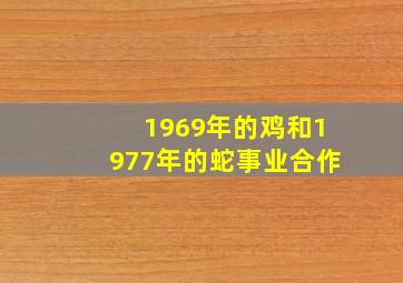 1969年的鸡和1977年的蛇事业合作