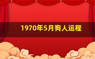 1970年5月狗人运程