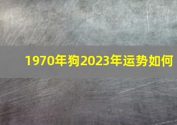 1970年狗2023年运势如何