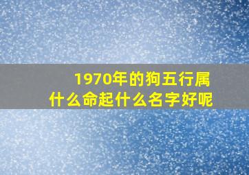 1970年的狗五行属什么命起什么名字好呢