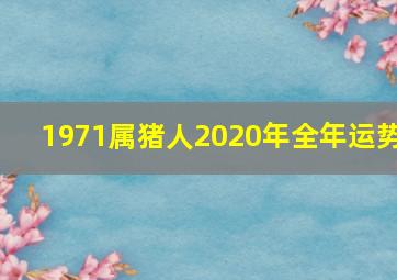 1971属猪人2020年全年运势