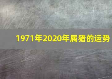 1971年2020年属猪的运势