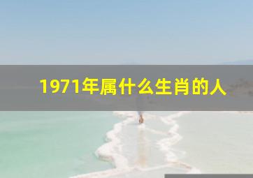 1971年属什么生肖的人