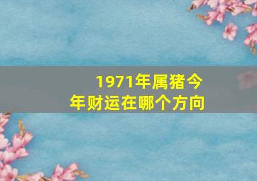 1971年属猪今年财运在哪个方向