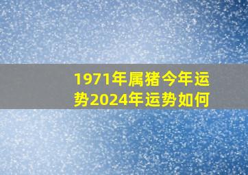 1971年属猪今年运势2024年运势如何