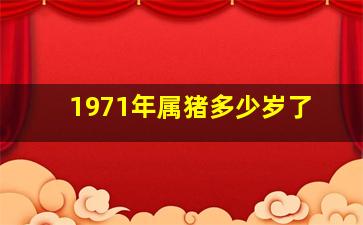 1971年属猪多少岁了