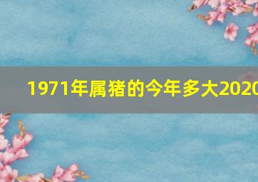 1971年属猪的今年多大2020