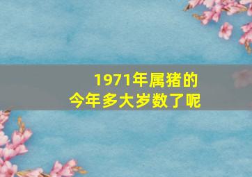 1971年属猪的今年多大岁数了呢