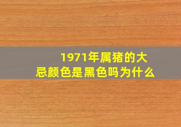 1971年属猪的大忌颜色是黑色吗为什么