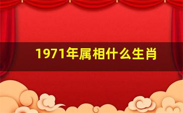 1971年属相什么生肖