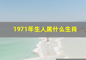 1971年生人属什么生肖