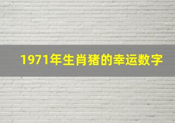 1971年生肖猪的幸运数字