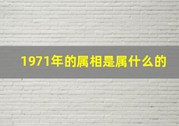 1971年的属相是属什么的