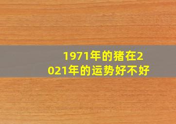 1971年的猪在2021年的运势好不好