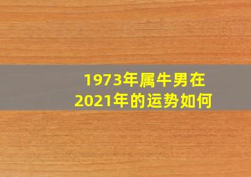 1973年属牛男在2021年的运势如何