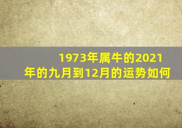 1973年属牛的2021年的九月到12月的运势如何