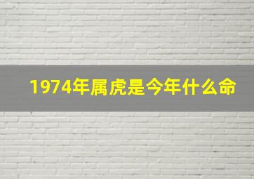 1974年属虎是今年什么命