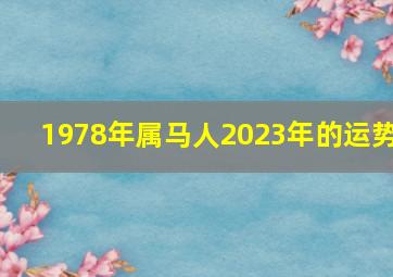 1978年属马人2023年的运势