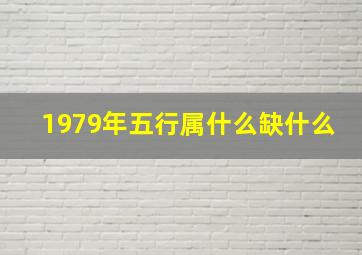 1979年五行属什么缺什么