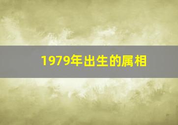 1979年出生的属相