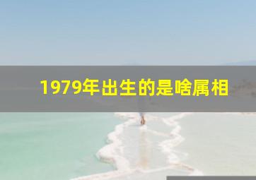 1979年出生的是啥属相