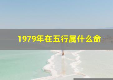 1979年在五行属什么命