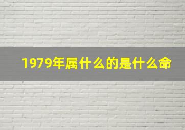 1979年属什么的是什么命