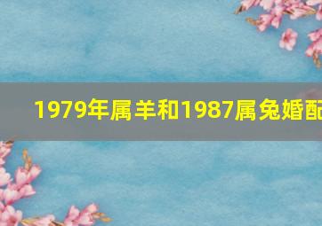 1979年属羊和1987属兔婚配