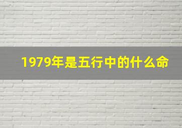 1979年是五行中的什么命