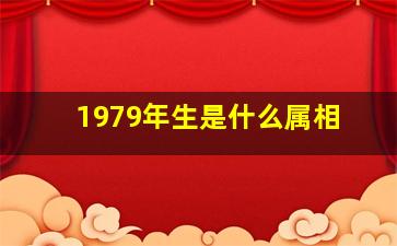 1979年生是什么属相