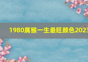 1980属猴一生最旺颜色2023