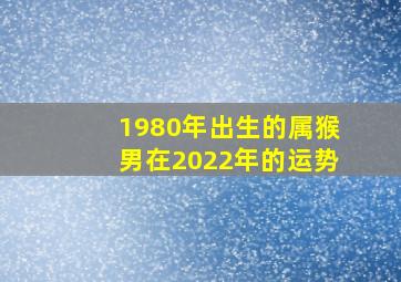 1980年出生的属猴男在2022年的运势