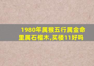 1980年属猴五行属金命里属石榴木,买楼11好吗